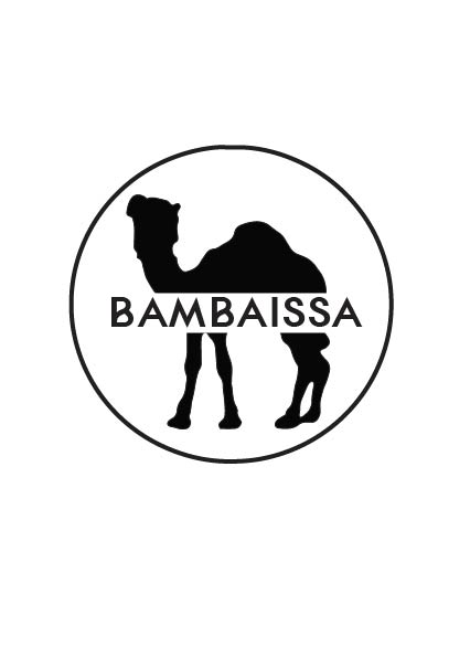 3_LOGO BAMBAISSA rgb.jpg